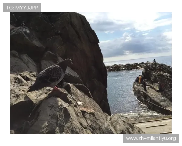 米兰app手机账号注册流程详解，快速创建账号开启精彩游戏之旅